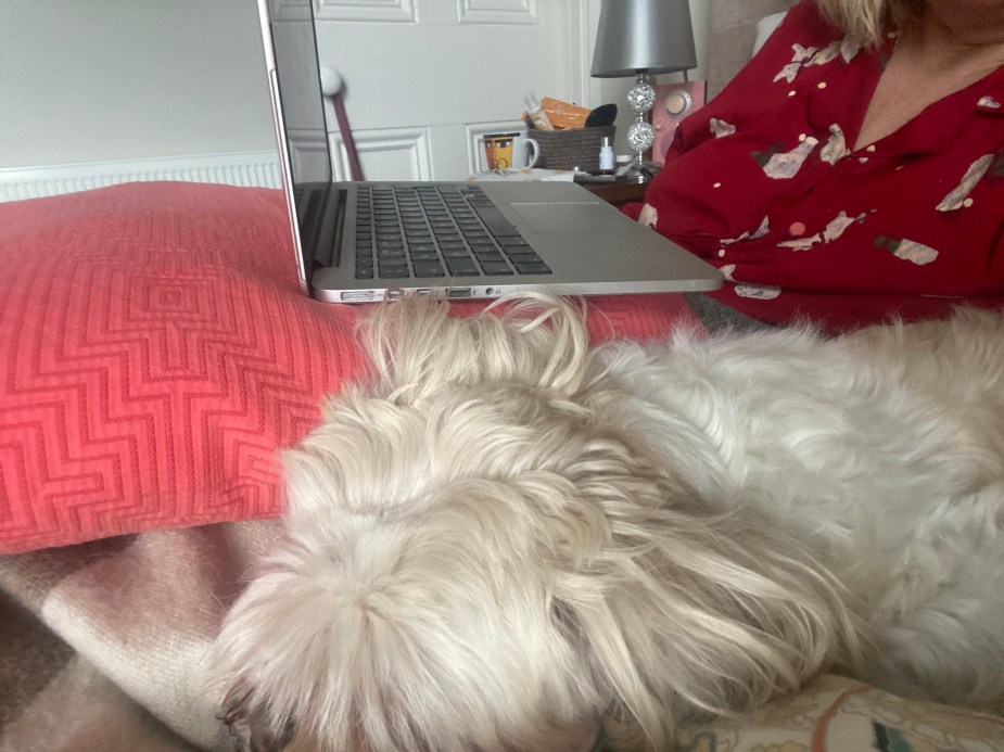 Olliepop staying Close